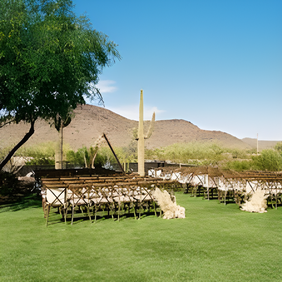 Empty desert ceremony space with cross-back chairs, a saguaro, and mountains under a bright sky